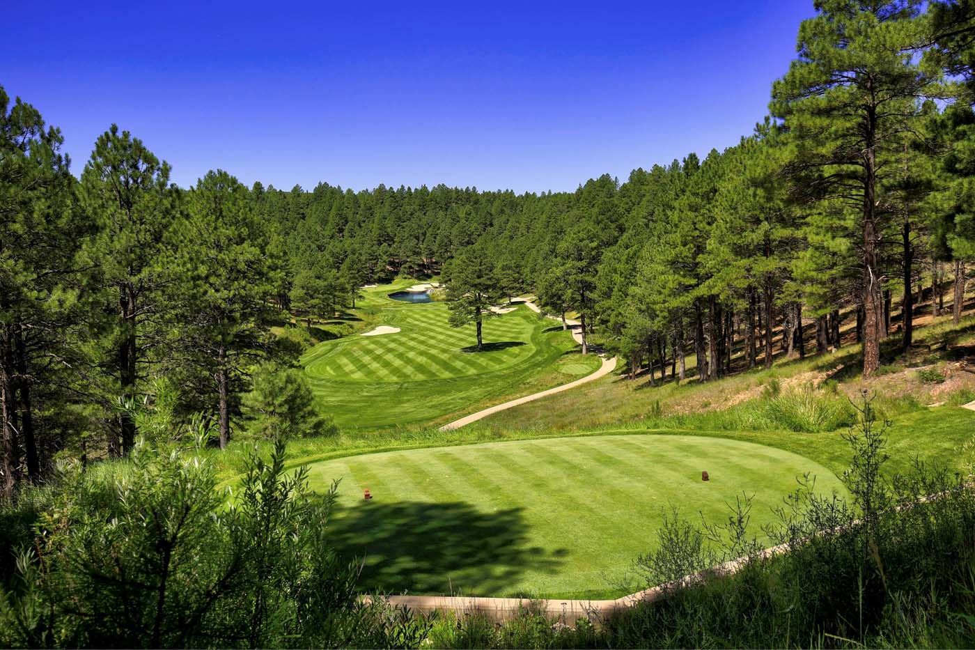 Gated Community Golf Courses Forest Highlands Eileen Taggart
